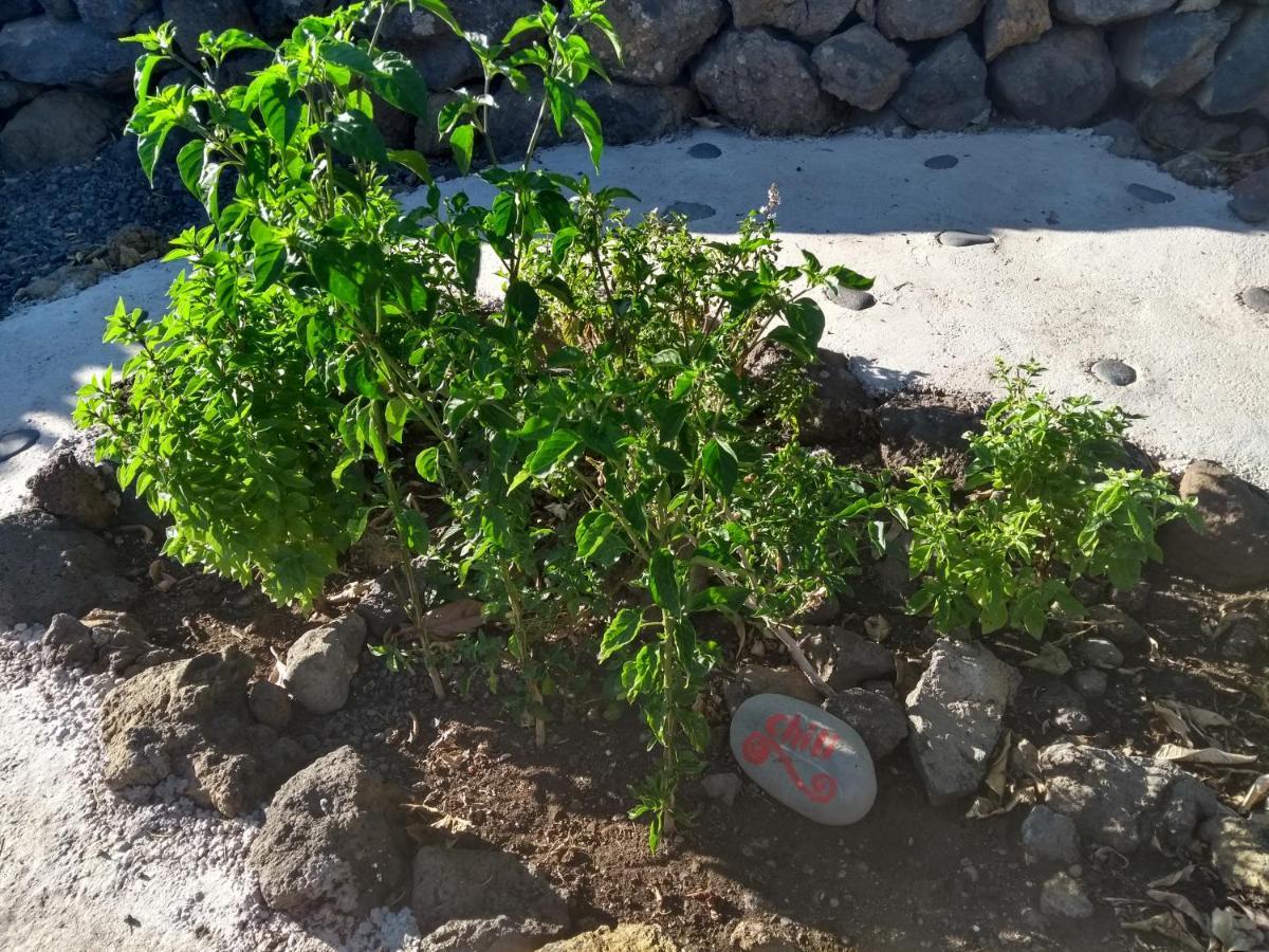 Finca Primavera El Paso Eksteriør bilde