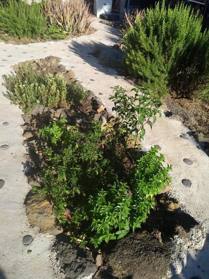 Finca Primavera El Paso Eksteriør bilde